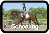 Sport Horse Training.jpg